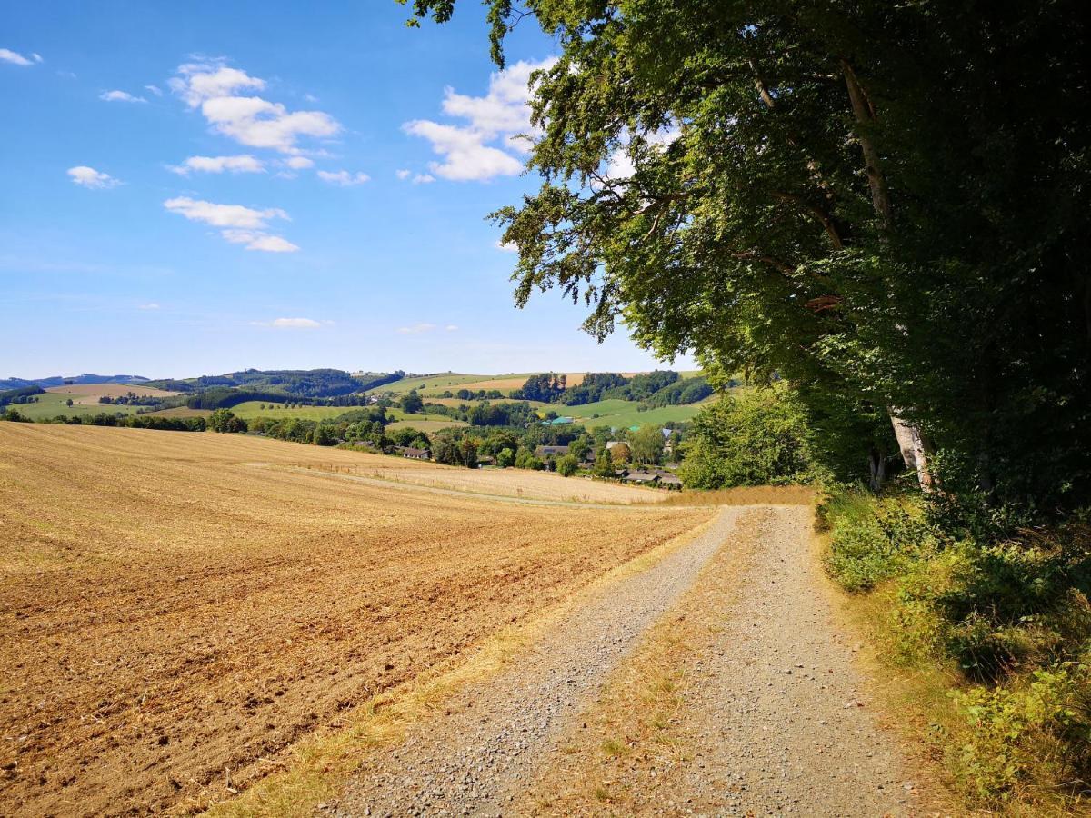 Ferienhaus Lena Im Sauerland Direkt Am Hennesee Meschede Ngoại thất bức ảnh