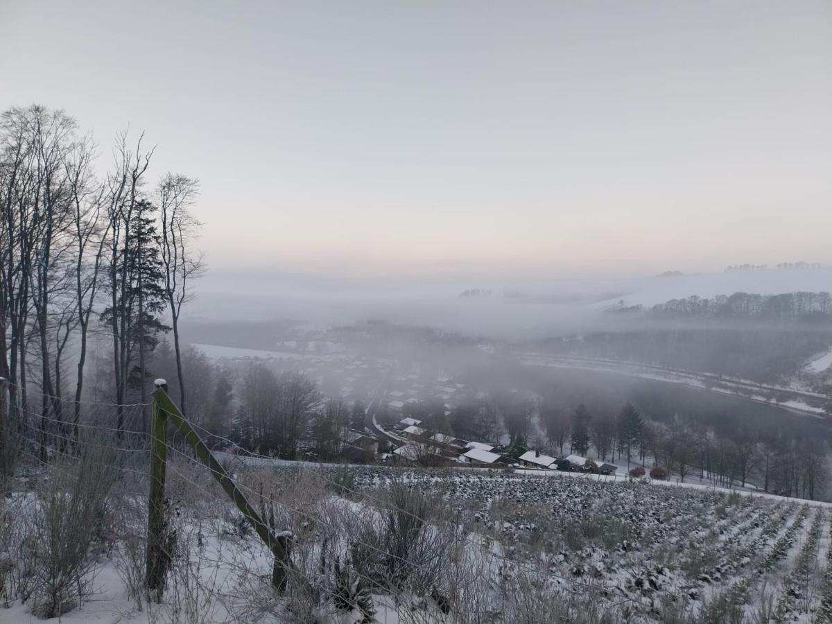 Ferienhaus Lena Im Sauerland Direkt Am Hennesee Meschede Ngoại thất bức ảnh